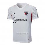 Camiseta De Futbol de Entrenamiento Sao Paulo 2023-2024 Gris
