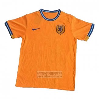 Camiseta De Futbol Paises Bajos Primera 2024