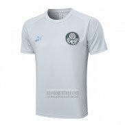 Camiseta De Futbol de Entrenamiento Palmeiras 2023-2024 Gris