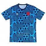 Camiseta De Futbol de Entrenamiento Dinamarca 2023-2024 Azul