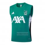 Camiseta De Futbol de Entrenamiento Tottenham Hotspur Sin Mangas 2025-2026 Verde