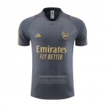 Camiseta De Futbol de Entrenamiento Arsenal 2023-2024 Gris