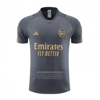 Camiseta De Futbol de Entrenamiento Arsenal 2023-2024 Gris