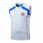 Camiseta De Futbol de Entrenamiento Bayern Munich Sin Mangas 2025-2026 Gris