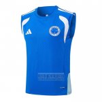 Camiseta De Futbol de Entrenamiento Cruzeiro Sin Mangas 2025-2026 Azul