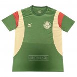 Camiseta De Futbol de Entrenamiento Palmeiras 2023-2024 Verde