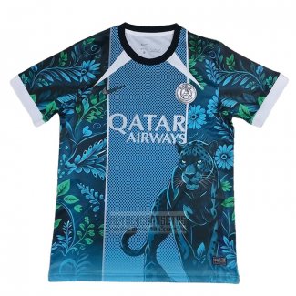 Camiseta De Futbol Paris Saint-Germain Special 2026-2027 Azul