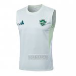 Camiseta De Futbol de Entrenamiento Al-Ahli Saudi Sin Mangas 2025-2026 Blanco