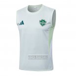 Camiseta De Futbol de Entrenamiento Al-Ahli Saudi Sin Mangas 2025-2026 Blanco