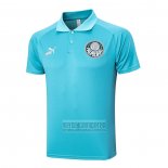 Camiseta De Futbol Polo del Palmeiras 2023-2024 Verde