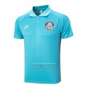 Camiseta De Futbol Polo del Palmeiras 2023-2024 Verde