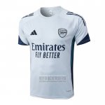 Camiseta De Futbol de Entrenamiento Arsenal 2025-2026 Gris