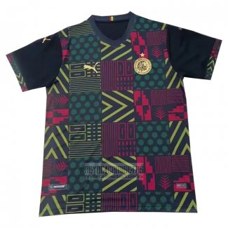 Camiseta De Futbol de Entrenamiento Senegal 2022