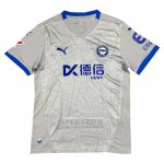 Tailandia Camiseta De Futbol Avai Portero 2024 Gris