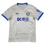 Tailandia Camiseta De Futbol Avai Portero 2024 Gris