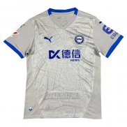 Tailandia Camiseta De Futbol Avai Portero 2024 Gris