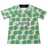 Camiseta De Futbol de Entrenamiento Nigeria 2022 Verde