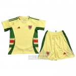 Camiseta De Futbol Gales Segunda Nino 2024