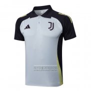 Camiseta De Futbol Polo del Juventus 2024-2025 Gris