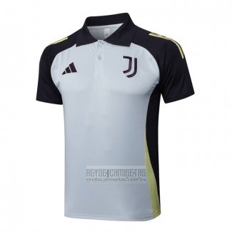 Camiseta De Futbol Polo del Juventus 2024-2025 Gris