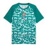 Camiseta De Futbol Pre Partido del Portugal 2026 Verde