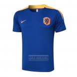 Camiseta De Futbol de Entrenamiento Paises Bajos 2024-2025 Azul