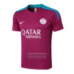 Camiseta De Futbol de Entrenamiento Paris Saint-Germain 2024-2025 Purpura