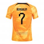 Camiseta De Futbol Paises Bajos Jugador Bergwijn Primera 2022