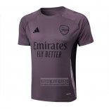 Camiseta De Futbol de Entrenamiento Arsenal 2024-2025 Gris Purpura