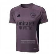 Camiseta De Futbol de Entrenamiento Arsenal 2024-2025 Gris Purpura