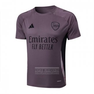 Camiseta De Futbol de Entrenamiento Arsenal 2024-2025 Gris Purpura