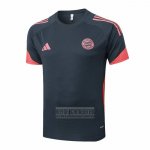 Camiseta De Futbol de Entrenamiento Bayern Munich 2025-2026 Gris Oscuro