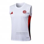 Camiseta De Futbol de Entrenamiento Bayern Munich Sin Mangas 2025-2026 Blanco
