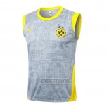 Camiseta De Futbol de Entrenamiento Borussia Dortmund Sin Mangas 2025-2026 Gris