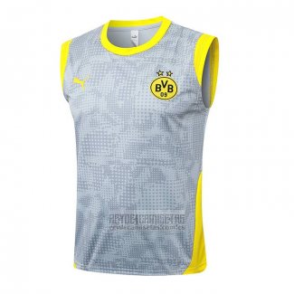 Camiseta De Futbol de Entrenamiento Borussia Dortmund Sin Mangas 2025-2026 Gris