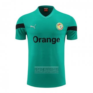 Camiseta De Futbol de Entrenamiento Senegal 2023-2024 Verde