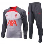 Chandal de Sudadera del Liverpool 2022-2023 Gris