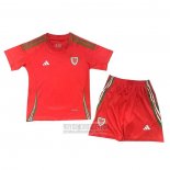 Camiseta De Futbol Gales Primera Nino 2024