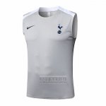 Camiseta De Futbol de Entrenamiento Tottenham Hotspur Sin Mangas 2025-2026 Gris