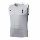 Camiseta De Futbol de Entrenamiento Tottenham Hotspur Sin Mangas 2025-2026 Gris
