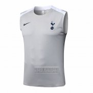 Camiseta De Futbol de Entrenamiento Tottenham Hotspur Sin Mangas 2025-2026 Gris