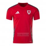 Camiseta De Futbol Gales Primera 2024