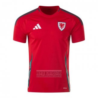 Camiseta De Futbol Gales Primera 2024