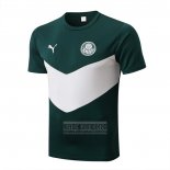 Camiseta De Futbol de Entrenamiento Palmeiras 2022-2023 Verde