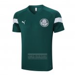 Camiseta De Futbol de Entrenamiento Palmeiras 2023-2024 Verde