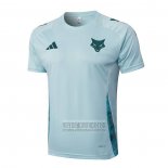 Camiseta De Futbol de Entrenamiento Cruzeiro 2024-2025 Verde