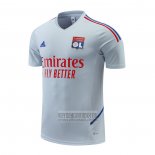 Camiseta De Futbol de Entrenamiento Lyon 2022-2023 Gris