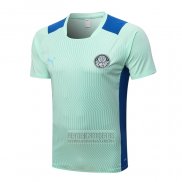 Camiseta De Futbol de Entrenamiento Palmeiras 2022-2023 Verde