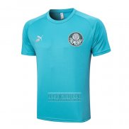 Camiseta De Futbol de Entrenamiento Palmeiras 2023-2024 Verde