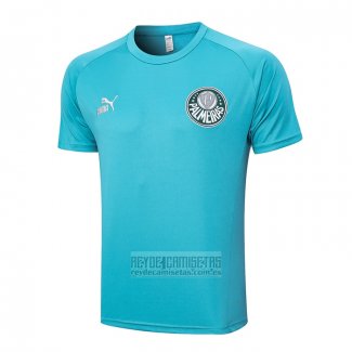 Camiseta De Futbol de Entrenamiento Palmeiras 2023-2024 Verde